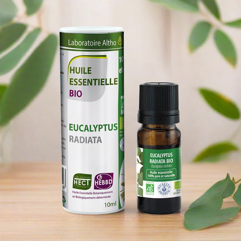 BIO Eukaliptusz radiata Illóolaj – 10ml