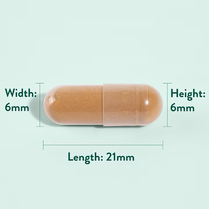 Astragalus 470mg - 90db